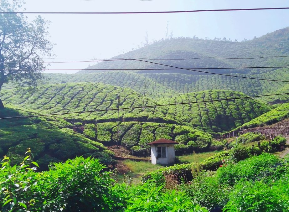 Guwahati – Kaziranga - Majuli –Sivsagar